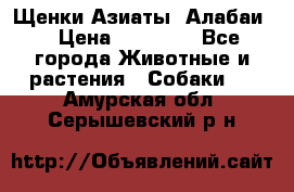 Щенки Азиаты (Алабаи) › Цена ­ 20 000 - Все города Животные и растения » Собаки   . Амурская обл.,Серышевский р-н